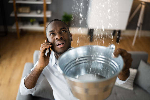 Best Water damage mitigation services  in Totowa, NJ