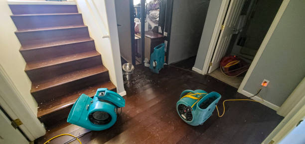 Best Water damage cleanup near me  in Totowa, NJ