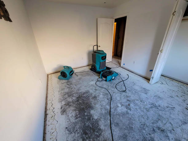 Best Mold removal after water damage  in Totowa, NJ