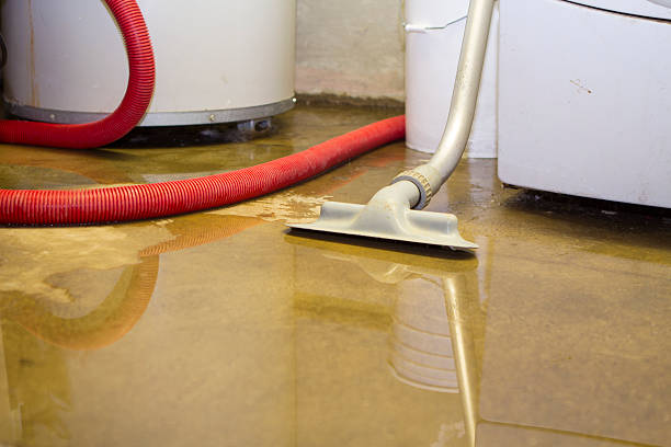 Best 24-hour water damage restoration  in Totowa, NJ