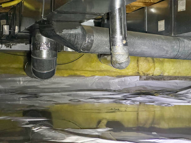 Best Basement water damage restoration  in Totowa, NJ