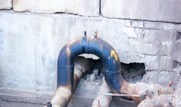 Best Water damage contractors near me  in Totowa, NJ